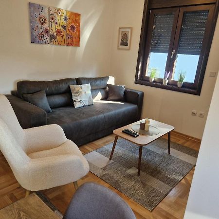 Apartament Mb Lux Vrnjačka Banja Zewnętrze zdjęcie